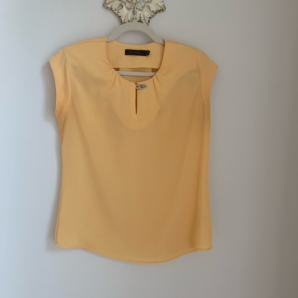 The Limited Blouse